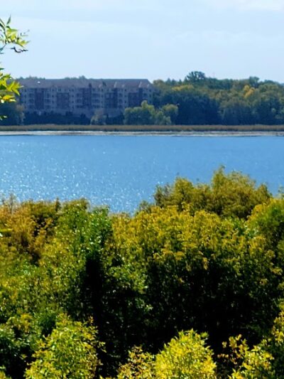 Carver Park Reserve Off-Leash Dog Park - Victoria, MN