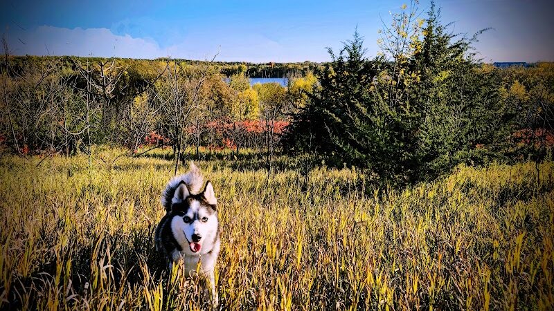 Carver Park Reserve Off-Leash Dog Park - Victoria, MN