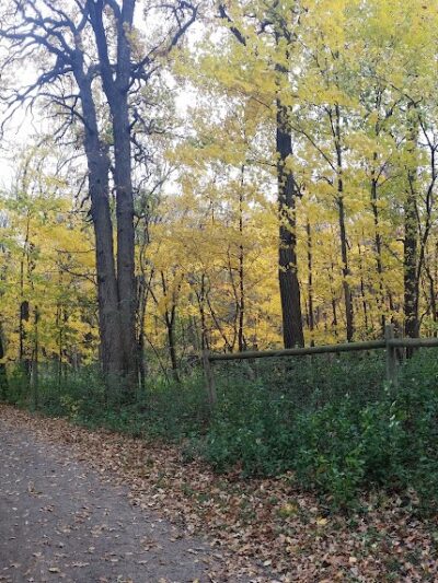 Carver Park Reserve Off-Leash Dog Park - Victoria, MN