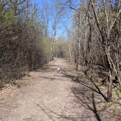 Carver Park Reserve Off-Leash Dog Park - Victoria, MN