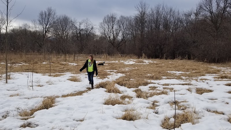 Carver Park Reserve Off-Leash Dog Park - Victoria, MN