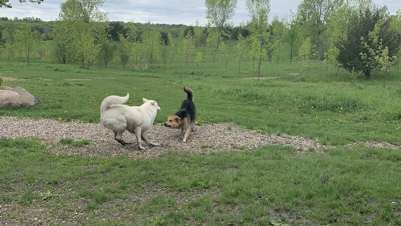 Carver Park Reserve Off-Leash Dog Park - Victoria, MN