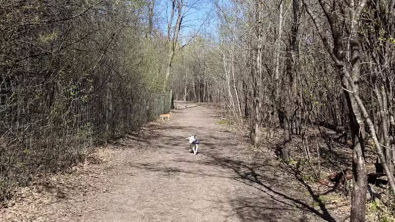 Carver Park Reserve Off-Leash Dog Park - Victoria, MN