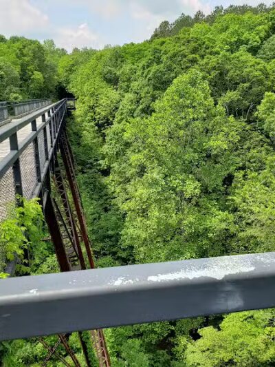 Tunnel Hill State Trail - Vienna, IL