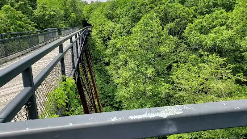 Tunnel Hill State Trail - Vienna, IL