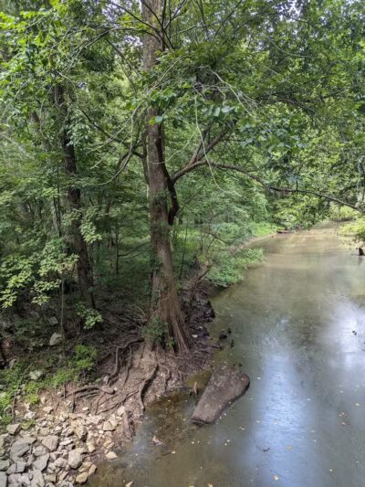 Tunnel Hill State Trail - Vienna, IL