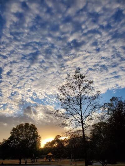 Tunnel Hill State Trail - Vienna, IL