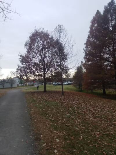 Vienna City park - Vienna, IL