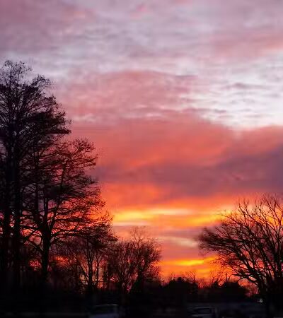 Vienna City park - Vienna, IL