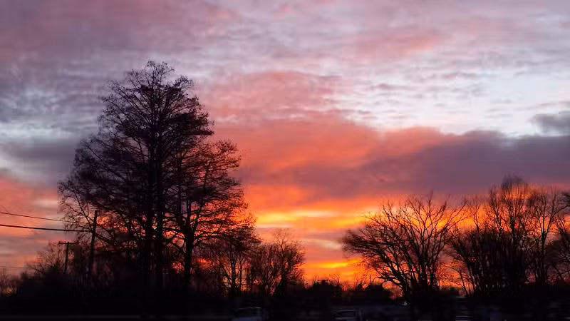 Vienna City park - Vienna, IL
