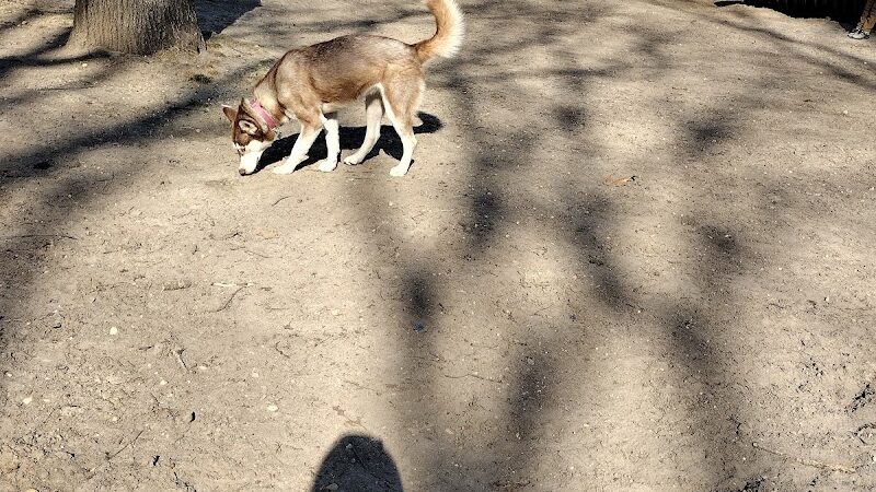 City of Vineland Dog Park