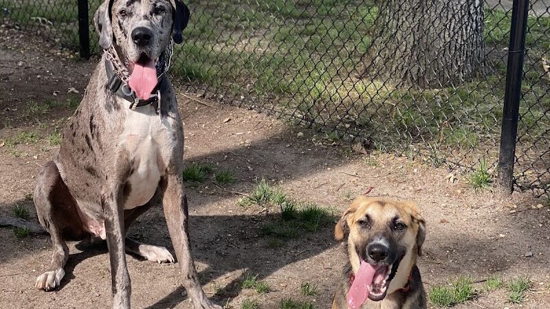 City of Vineland Dog Park