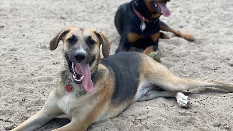 City of Vineland Dog Park