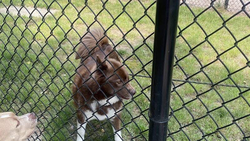 City of Vineland Dog Park