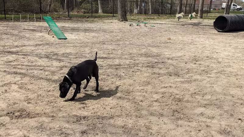 City of Vineland Dog Park