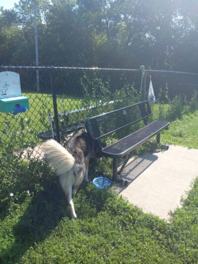 Viola Dog Park for Mercer County - Viola, IL