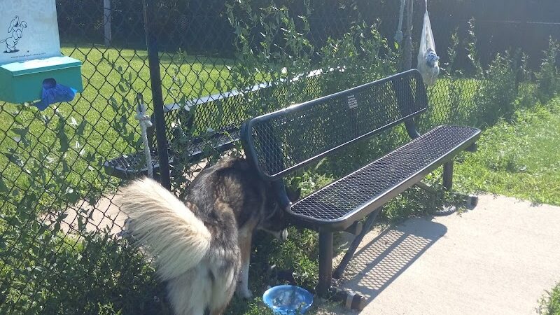 Viola Dog Park for Mercer County - Viola, IL