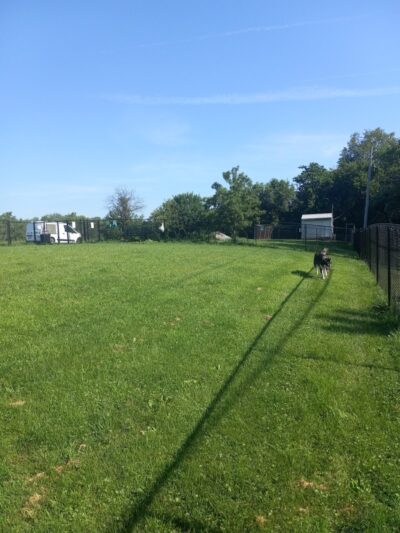 Viola Dog Park for Mercer County - Viola, IL