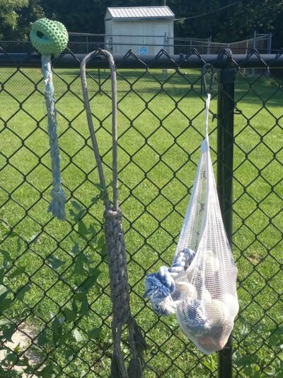 Viola Dog Park for Mercer County - Viola, IL