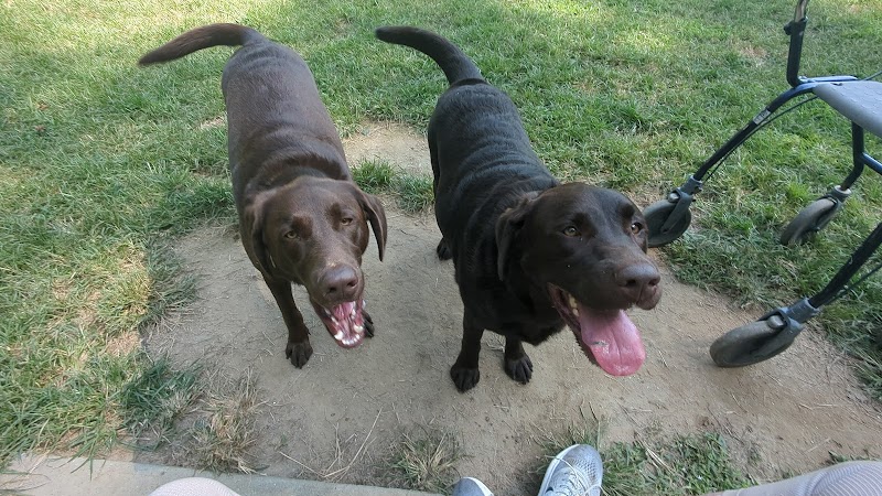 Red Wing Dog Park - Virginia Beach, VA