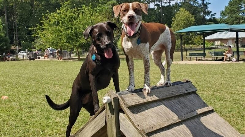 Red Wing Dog Park - Virginia Beach, VA