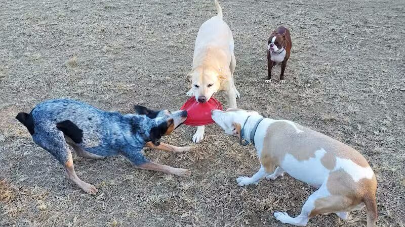 Red Wing Dog Park - Virginia Beach, VA