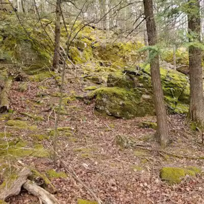 Hop Field Trailhead - Voorheesville, NY