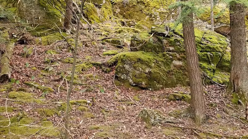 Hop Field Trailhead - Voorheesville, NY