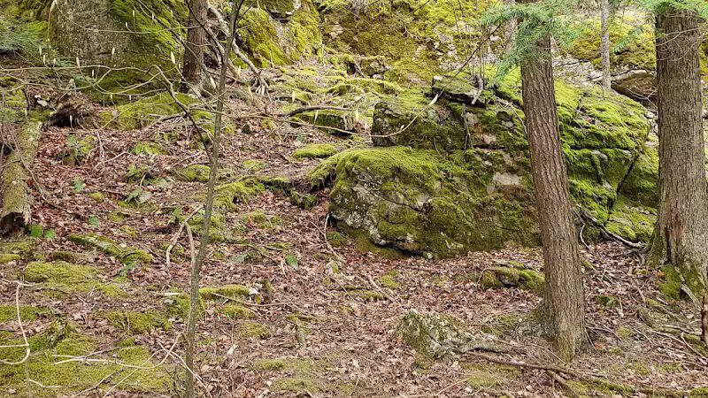Hop Field Trailhead - Voorheesville, NY