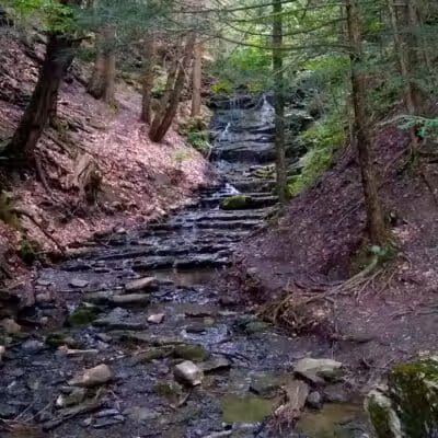 Hop Field Trailhead - Voorheesville, NY