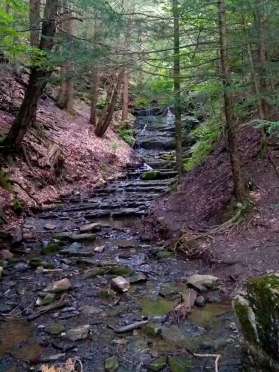 Hop Field Trailhead - Voorheesville, NY
