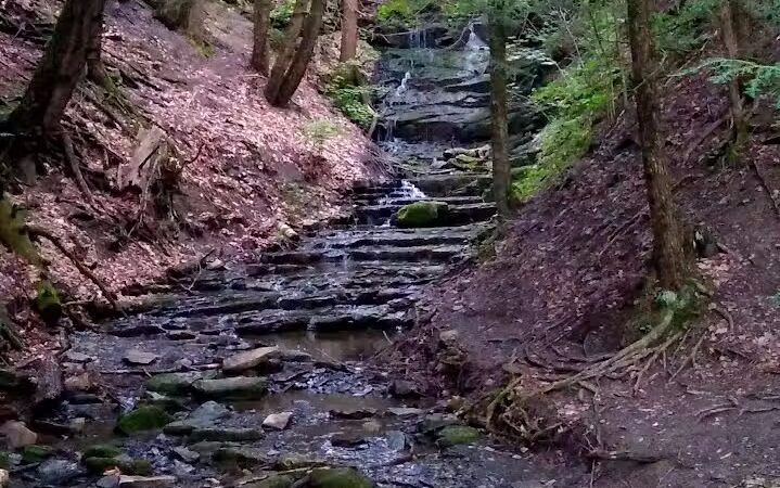 Hop Field Trailhead - Voorheesville, NY