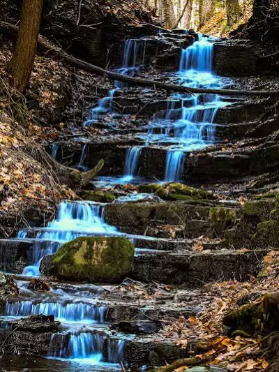 Hop Field Trailhead - Voorheesville, NY
