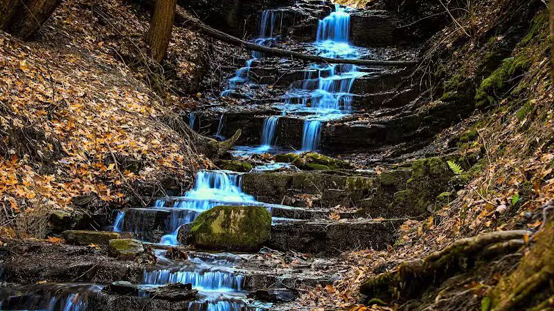 Hop Field Trailhead - Voorheesville, NY
