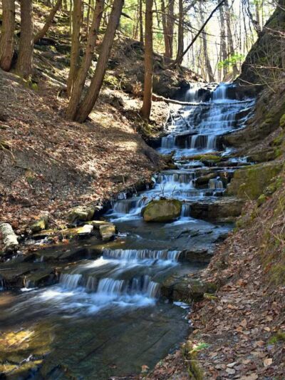 Hop Field Trailhead - Voorheesville, NY
