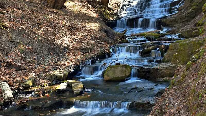 Hop Field Trailhead - Voorheesville, NY
