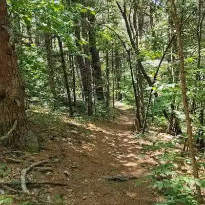 Keleher Preserve - Voorheesville, NY