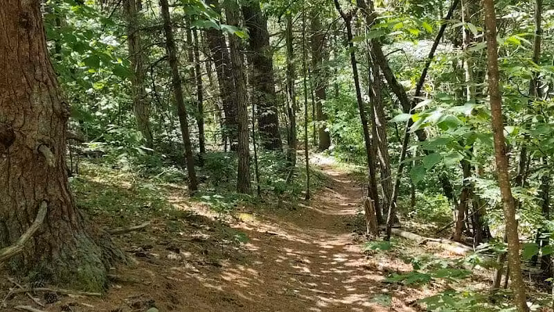Keleher Preserve - Voorheesville, NY