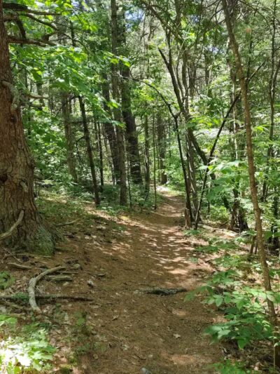 Keleher Preserve - Voorheesville, NY