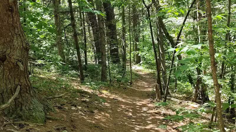 Keleher Preserve - Voorheesville, NY