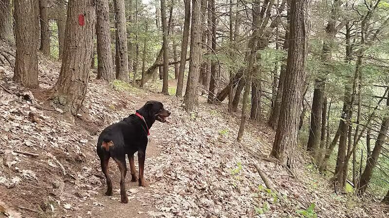 Keleher Preserve - Voorheesville, NY