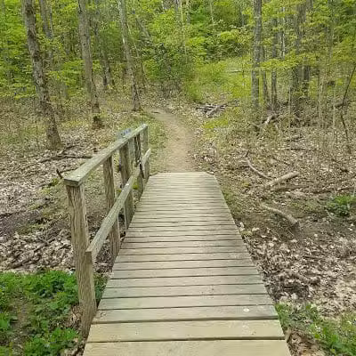 Keleher Preserve - Voorheesville, NY