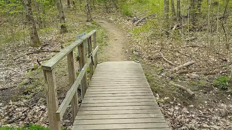 Keleher Preserve - Voorheesville, NY