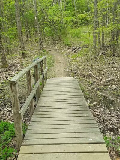 Keleher Preserve - Voorheesville, NY