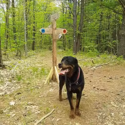 Keleher Preserve - Voorheesville, NY