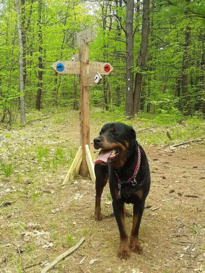 Keleher Preserve - Voorheesville, NY