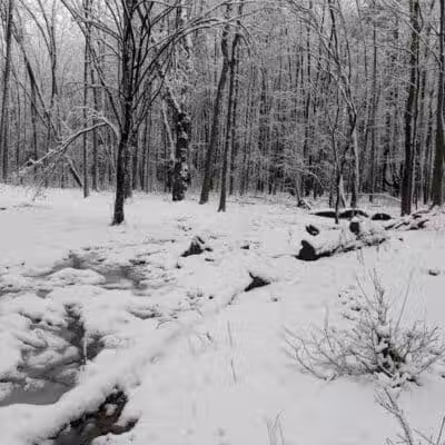Stephen P Wallace Park - Voorheesville, NY