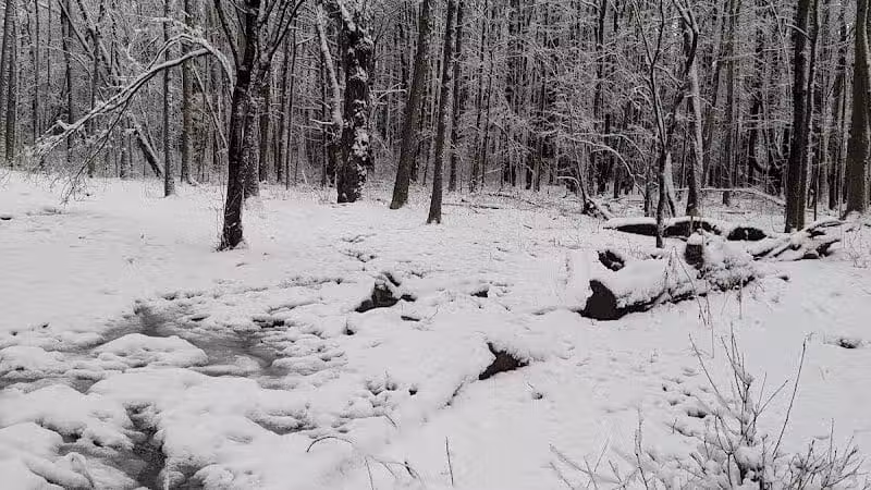 Stephen P Wallace Park - Voorheesville, NY