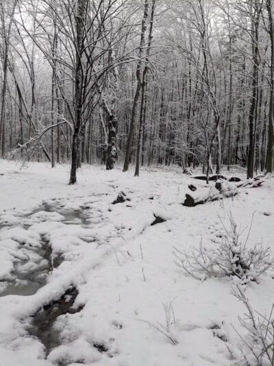Stephen P Wallace Park - Voorheesville, NY