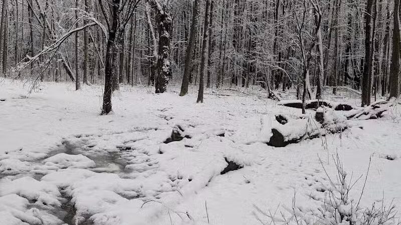 Stephen P Wallace Park - Voorheesville, NY
